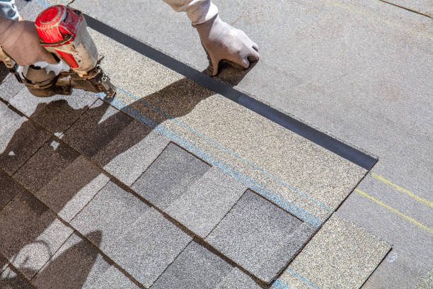 Best Metal Roofing Contractor  in Ethete, WY